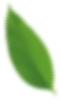 listic